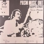 Salah Ragab & The Cairo Jazz Band – Egypt Strut LP Plak