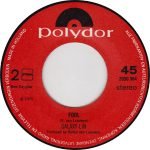 Galaxy-Lin – Long Hot Summer 45lik Plak - Görsel 4