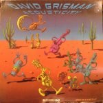 David Grisman – Acousticity LP Plak