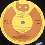 Silver Convention – Fly, Robin, Fly LP Plak - Görsel 4