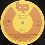 Silver Convention – Fly, Robin, Fly LP Plak - Görsel 3