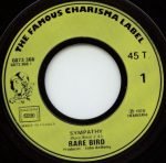 Rare Bird – Sympathy 45lik Plak - Görsel 3