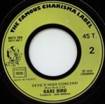 Rare Bird – Sympathy 45lik Plak - Görsel 4