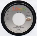 Cher – Bang Bang (My Baby Shot Me Down) / All I Really Want To Do 45lik Plak - Görsel 3