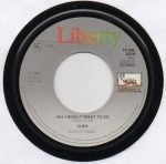 Cher – Bang Bang (My Baby Shot Me Down) / All I Really Want To Do 45lik Plak - Görsel 4