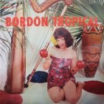 Luis Bordón – Bordón Tropical LP Plak (Tropical Harp)