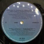 Angelo Branduardi – Highdown Fair LP Plak - Görsel 4