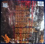 Bathory – The Return......LP Plak - Görsel 2