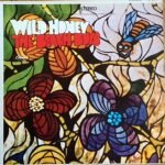 The Beach Boys – Wild Honey LP Plak