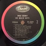 The Beach Boys – Wild Honey LP Plak - Görsel 4