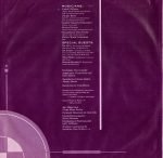 The Allman Brothers Band – Enlightened Rogues LP Plak - Görsel 3