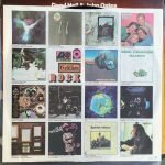 Daryl Hall & John Oates – Whole Oats LP Plak - Görsel 4