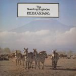 The Teardrop Explodes – Kilimanjaro LP Plak
