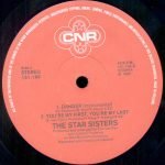 The Star Sisters – Danger 12'' Maxi Single Plak - Görsel 2