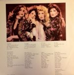 Stevie Nicks – The Wild Heart LP Plak - Görsel 4