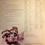 Stevie Nicks – The Wild Heart LP Plak - Görsel 3