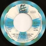 Stevie Wonder – I Just Called To Say I Love You 45lik Plak - Görsel 3