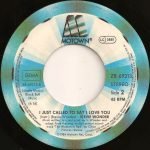 Stevie Wonder – I Just Called To Say I Love You 45lik Plak - Görsel 4