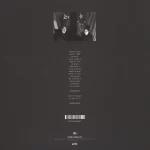 Dopplereffekt – Gesamtkunstwerk 2LP Plak - Görsel 2