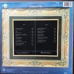 Jackson 5ive – Greatest Hits LP Plak - Görsel 2