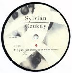 David Sylvian & Holger Czukay – Plight & Premonition / Flux & Mutability 2LP Plak - Görsel 5