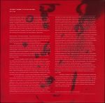 David Sylvian & Holger Czukay – Plight & Premonition / Flux & Mutability 2LP Plak - Görsel 3