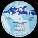 Tangerine Dream – Underwater Sunlight LP Plak - Görsel 3