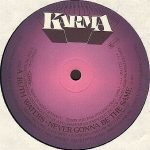 Ruth Waters – Never Gonna Be The Same 12" Maxi Single Plak - Görsel 2
