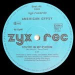 American Gypsy – You're In My System 12" Maxi Single Plak - Görsel 2