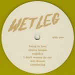 Wet Leg – Wet Leg. LP Renkli Plak - Görsel 3