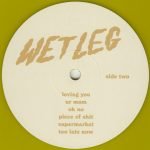 Wet Leg – Wet Leg. LP Renkli Plak - Görsel 4
