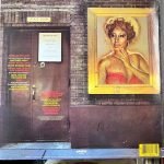 Aretha – Who's Zoomin' Who? LP Plak - Görsel 2