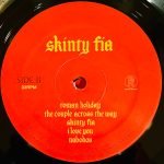Fontaines D.C. – Skinty Fia LP Plak - Görsel 4