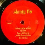 Fontaines D.C. – Skinty Fia LP Plak - Görsel 3
