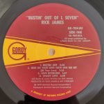 Rick James – Bustin' Out Of L Seven LP Plak - Görsel 3