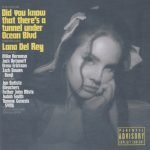 Lana Del Rey – Did You Know That There's A Tunnel Under Ocean Blvd CD