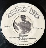 Armenyan Songs / Sayadnova Songs 45lik Plak - Görsel 3