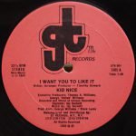 Kid Nice – I Want You To Like It 12" Maxi Single Plak (Electro)