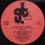 Kid Nice – I Want You To Like It 12" Maxi Single Plak (Electro) - Görsel 2