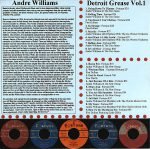 Andre Williams – Detroit Grease Volume One LP Plak - Görsel 2