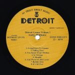 Andre Williams – Detroit Grease Volume One LP Plak - Görsel 3