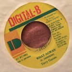 Terry Ganzie – What AGwan 45lik Plak (Dancehall)