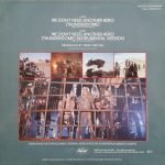 Tina Turner – We Don't Need Another Hero (Thunderdome) 12" Maxi Single Plak - Görsel 2