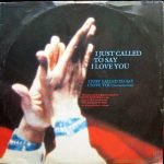 Stevie Wonder – I Just Called To Say I Love You 12" Maxi Single Plak - Görsel 2