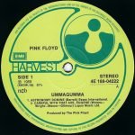 Pink Floyd – Ummagumma 2LP Plak - Görsel 3