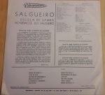 Academicos Do Salgueiro – Salgueiro LP Plak - Görsel 2