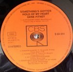 Gene Pitney – Something's Gotten Hold Of My Heart LP Plak - Görsel 3