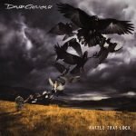 David Gilmour – Rattle That Lock LP Plak