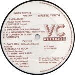 Wasted Youth – From The Inner Depth LP Plak - Görsel 2