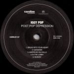Iggy Pop – Post Pop Depression LP Plak - Görsel 6
